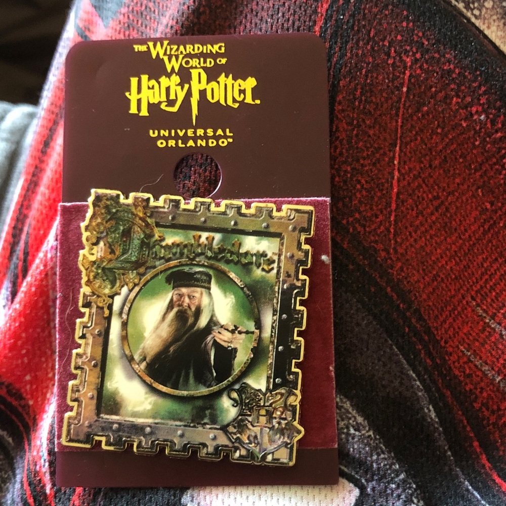 Warner Bros. Harry Potter Dumbledore Pin in Green and Gold